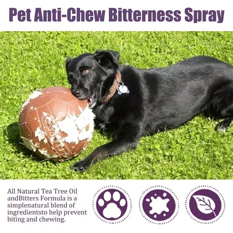 Spray antimasticado amargo de 72 g para mascotas para repeler a gatos y ...