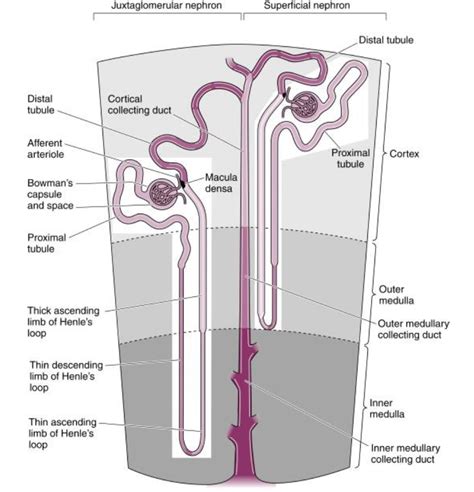 Create G-Code 的图像结果