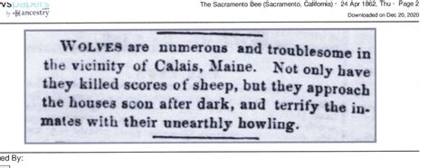 Image result for Human Wolves 1914