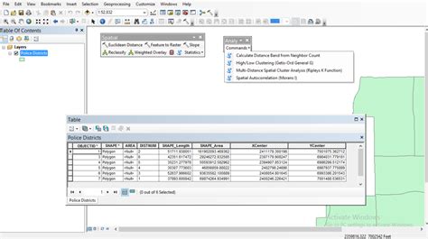 Spatial Patterns ArcMap 的图像结果