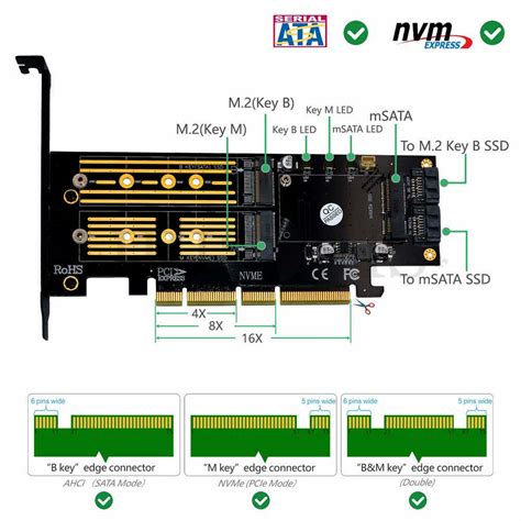 3 in 1 Msata and M.2 NGFF NVME SATA SSD to PCI-E 4X India | Ubuy