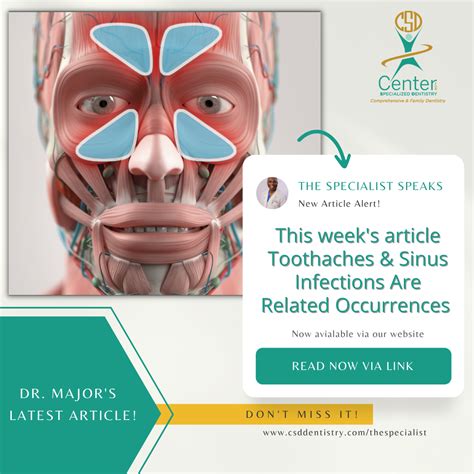 Toothaches & Sinus Infections Are Related Occurrences · Center for Specialized Dentistry