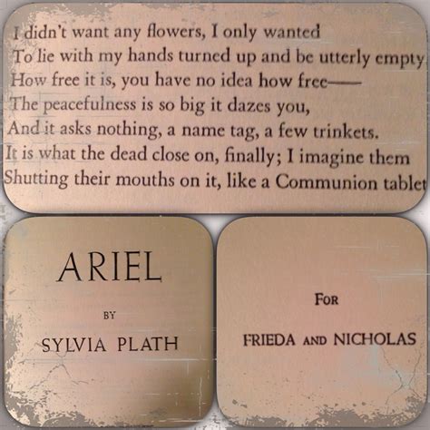 from Sylvia Plath's poem "Tulips" | Sylvia plath, Plath poems, Sylvia ...