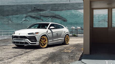 Lamborghini Urus White at Wilhelmina Davis blog