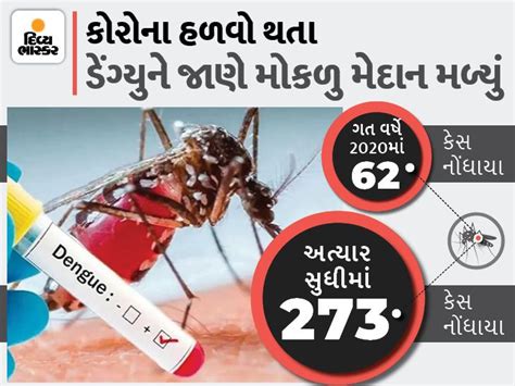 Dengue, like corona, is asymptomatic, lowers the patient's immunity, 3 ...