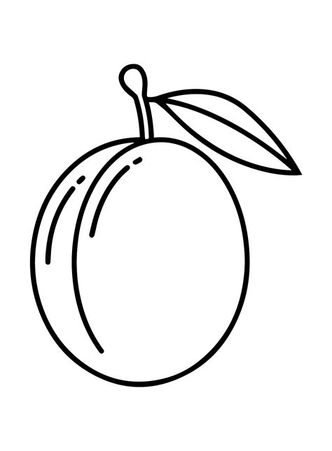 Plum 的图像结果