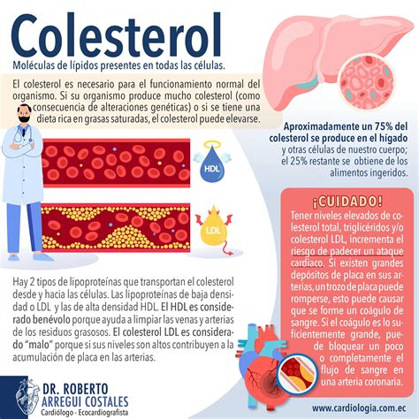 Niveles De Colesterol Ldl