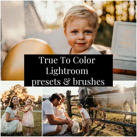 Lightroom AI Presets & Brushes: Family, Equine, Golden Hour - Etsy