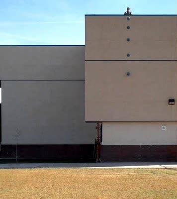 Falling Object Model 的图像结果