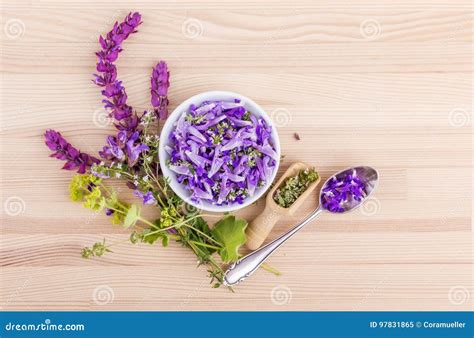 Violet, edible flowers stock image. Image of lady, natural - 97831865