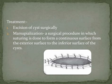 Skene’s gland anatomy features and functions | PPTX