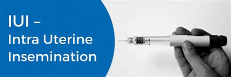 Intrauterine Insemination (IUI): Procedure, Treatment and Risks ...