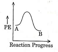 NEET Previous Year Questions (2014-2025): Chemical Kinetics - Chemistry ...