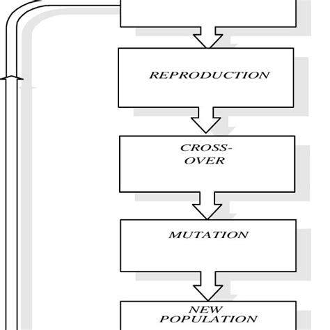Genetic Algorithm Mdel Sample Example Step by Step 的图像结果