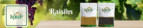 Amazon.in: NRIP: RAISINS