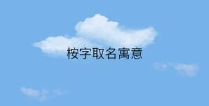 桉字取名寓意_起名问答-美名宝起名网