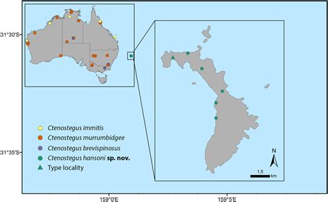 Ctenostegus hansoni sp. nov., a new species of spider wasp endemic to Lord Howe Island ...