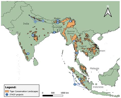 Assessing Project Proposals Based on National and Global Tiger Action ...