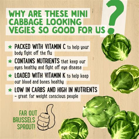 Brussels sprouts, a dietitian's guide | Harris Farm Markets