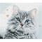 Diamond Dotz® Pricilla Diamond Painting Artwork Kit | Michaels