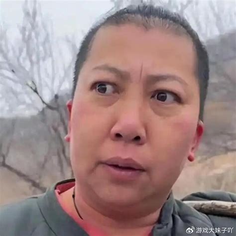 东北雨姐再被点名最新素材