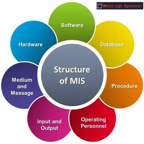 Management Information System Types 的图像结果