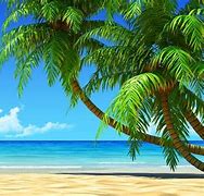 Image result for HDR Beach Wallpaper