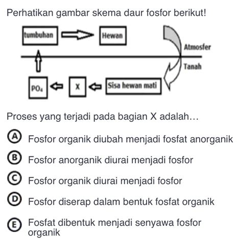 Image result for Spring Box Structure