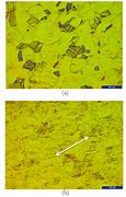 Image result for microstructure