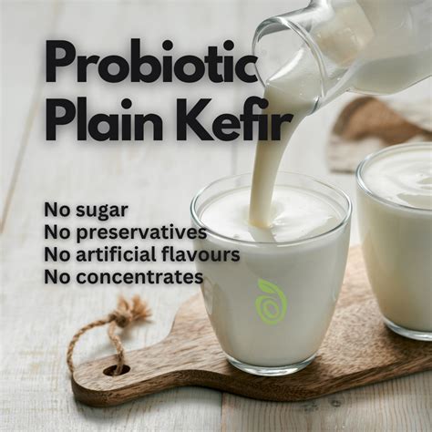 Organic Probiotic Kefir - Plain - 220 ml – Satva Farm