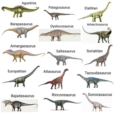 A guide to the different types of dinosaurs – Artofit