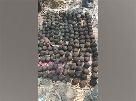 200 crude bombs recovered from poll-bound WB's South 24 Parganas