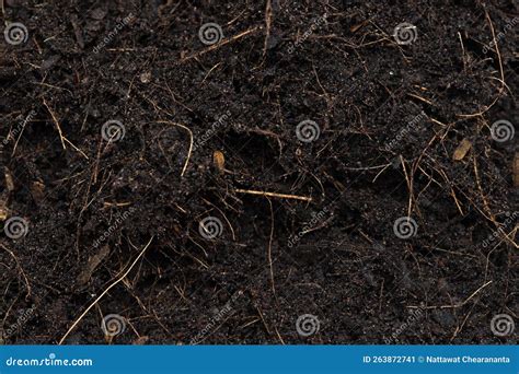 Roots Organic Soil