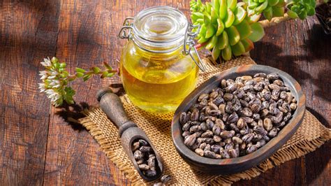 Castor Oil for Eyebrows: Benefits, Uses & How to Apply