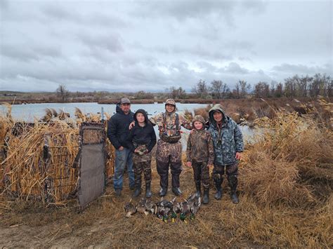 Youth Duck Hunting Regulations at Kris Allard blog