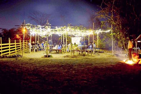 Head to The Farm at NDA Road for all things organic | LBB, Pune