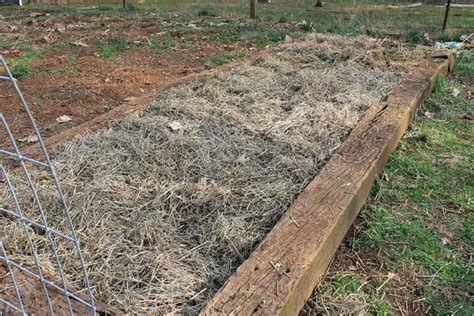How To Plant Potatoes In A Raised Bed