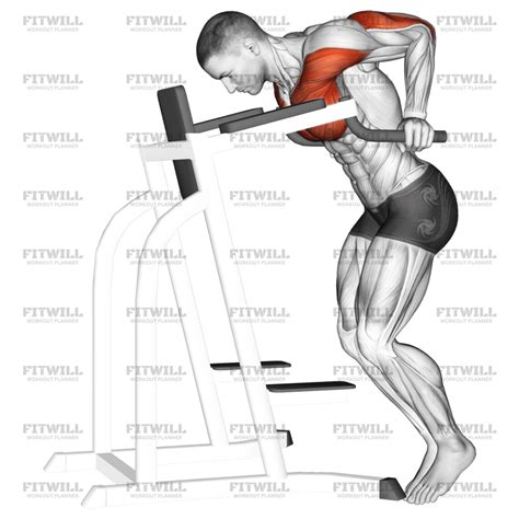 Dip Hold Isometric: Exercise Guide, Techniques, Benefits, How to ...