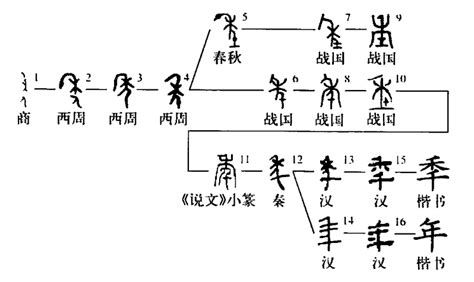 你知道汉字的演变过程吗（介绍汉字的起源、发展历史及特点）-我爱育娃