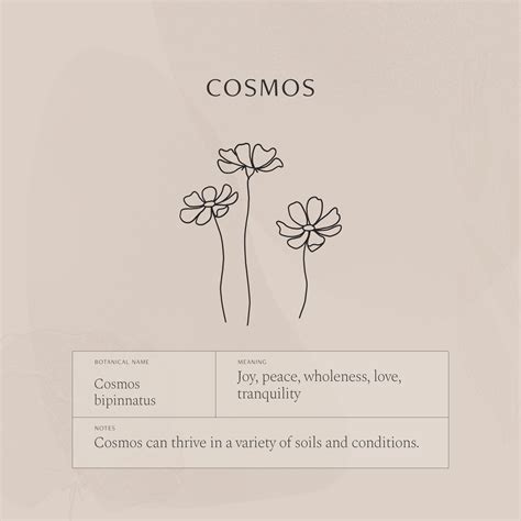 Cosmos Flower Necklace