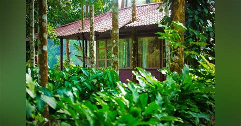 Shanthi Kunj Homestay, Chikmagalur | LBB, Bangalore