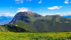 fiore baldo baldo speziale in fiore dal 2 al 5 giugno a brentonico fiore baldo baldo speziale in fiore dal 2 al 5 giugno a brentonico