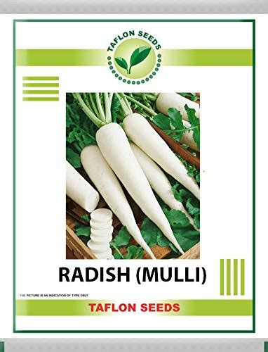 Vegetable Seeds ® Radish (Mulli) indian Vegetable Seeds to grow in Your ...