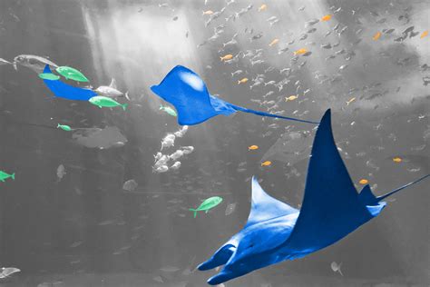 6 Fascinating Facts About Emily Dickinson - Interesting Facts