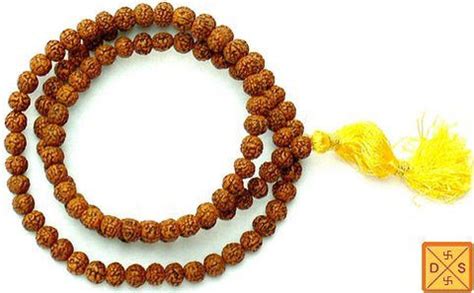 Rudrakshas – Devshoppe