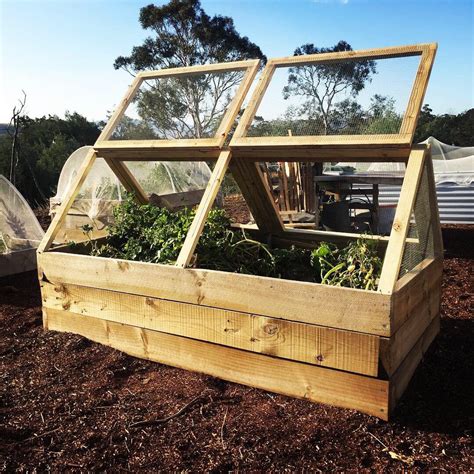 Protecting my produce with raised garden bed covers – Wide Open Mind ...