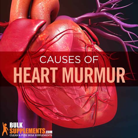 Heart Murmur. Don't Let it Break You. Find out How to Manage Murmurs