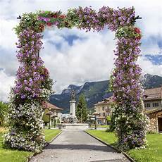 Garden Climbing Plants And Flowers by Costway Garden Wedding Arch Pergola Archway Flowers Garden Climbing Plants And Flowers