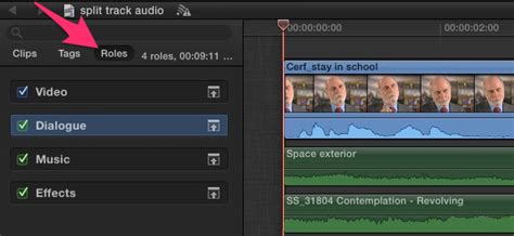 Image result for Audio Final Cut Pro Tutorial