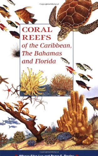 Buy Coral Reefs Caribbean The Bahamas and Florida Book Online at Low ...
